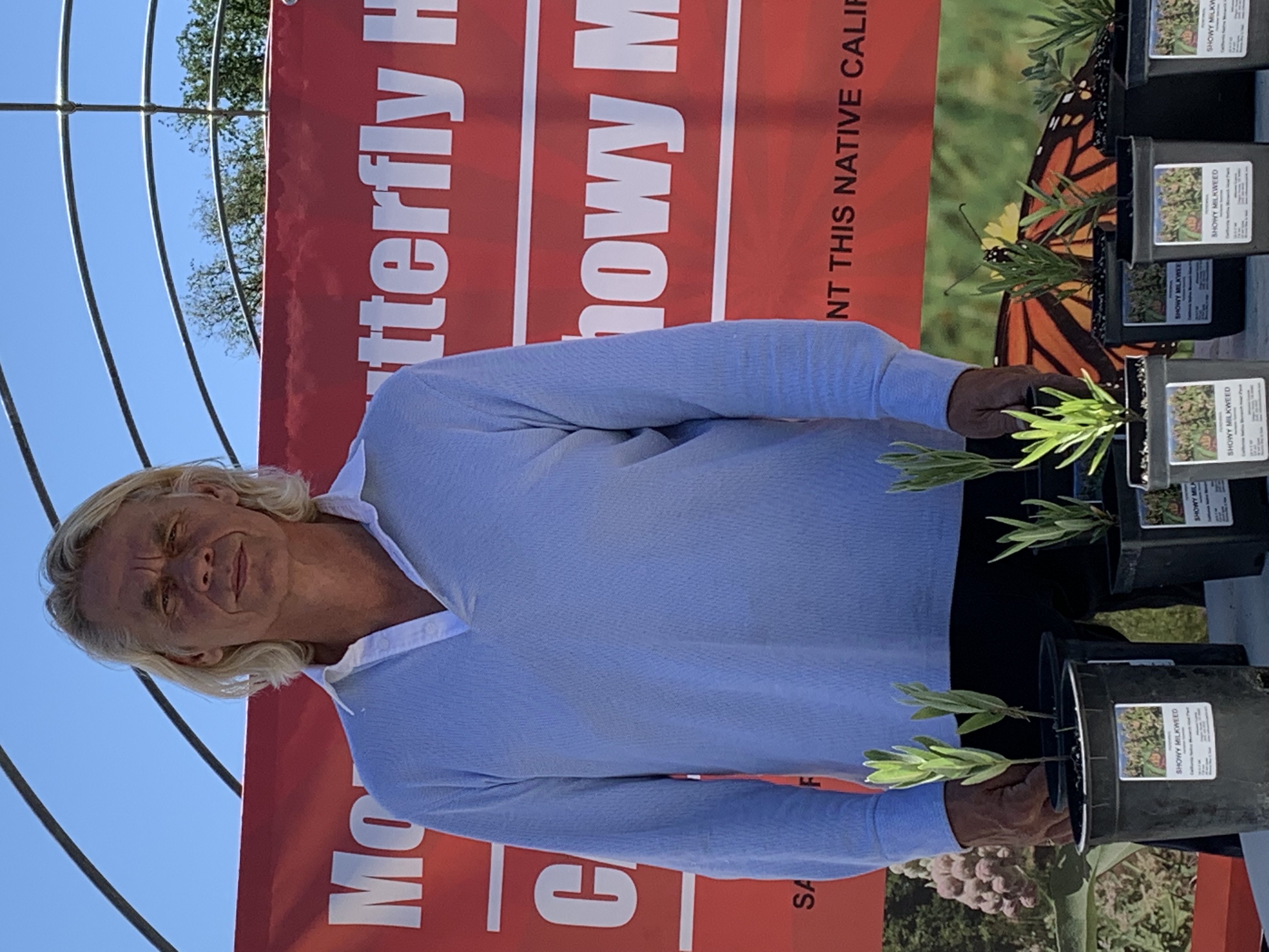 Growing Showy + Indian Milkweed in NorCal